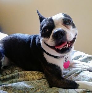 Meet your Posher, Sharon